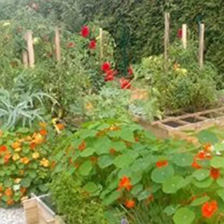 Bed & Breakfast Et Table D'hotes Magaadjukalo Saint-Maurice-de-Lignon