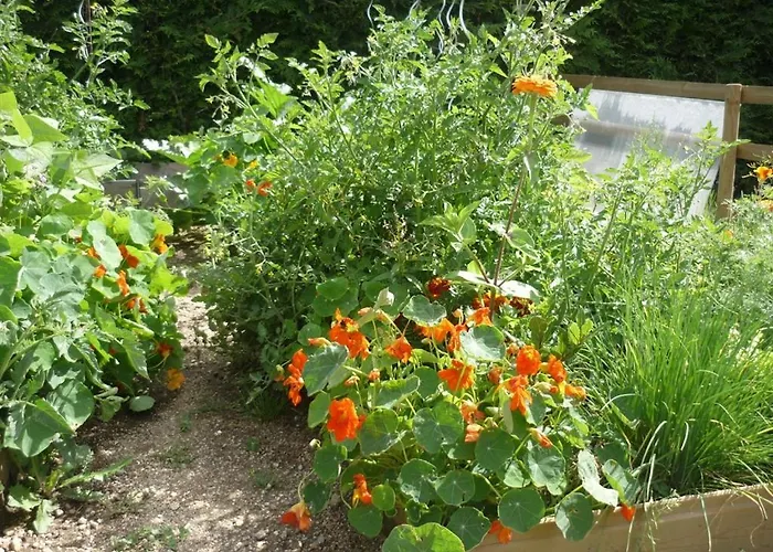 Et Table D'hôtes Magaadjukalo Saint-Maurice-de-Lignon