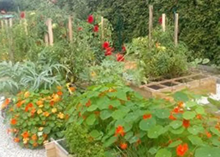 Alojamento de Acomodação e Pequeno-almoço Et Table D'hôtes Magaadjukalo Saint-Maurice-de-Lignon